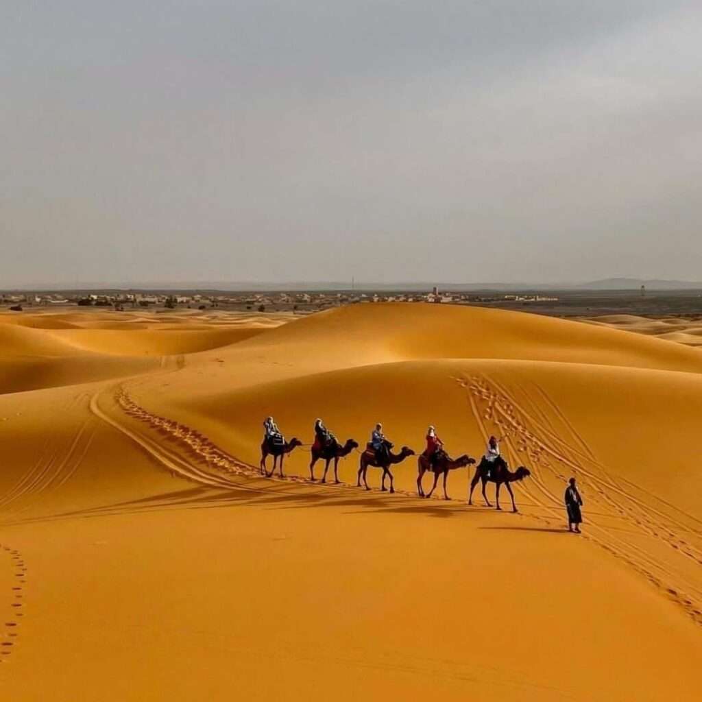 morocco tours to merzouga,Excursión de 3 días desde Rabat,Tour de 5 días desde Casablanca a Marrakech,tours por marruecos,Morocco desert tour