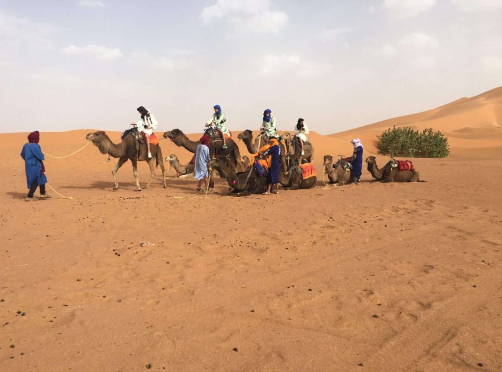 Booking Marrakech Sahara Trip
