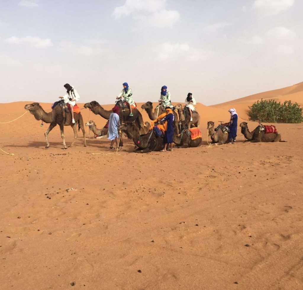 Booking Marrakech Sahara Trip