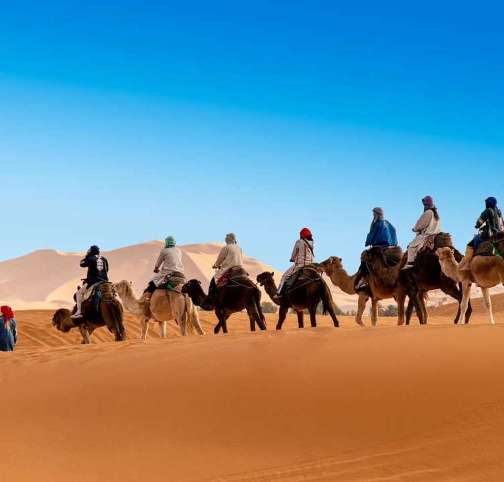desert, the sand dunes, caravan
