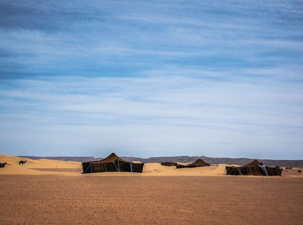 Booking Marrakech Sahara Trip
