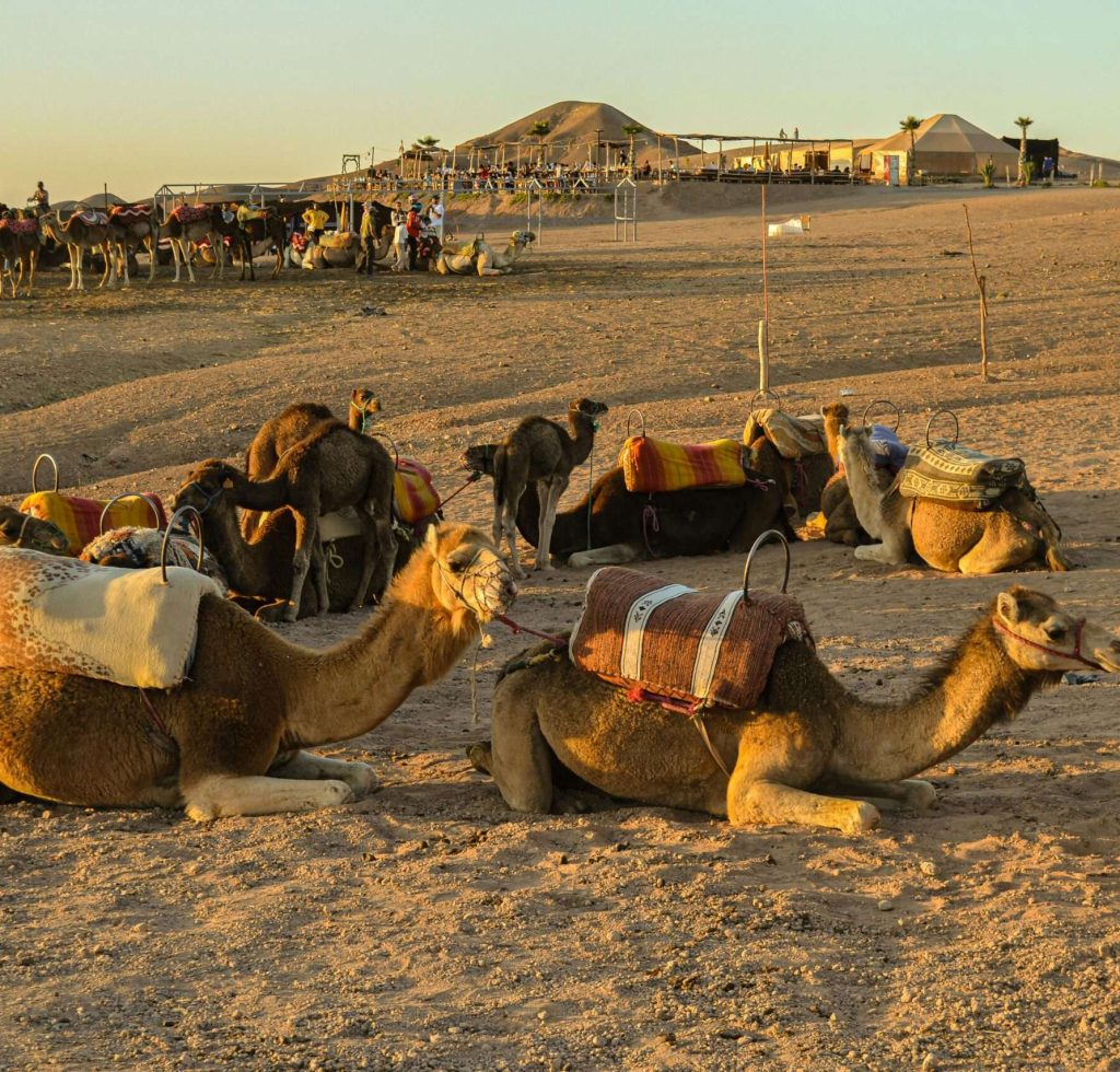 Excursiones por Agadir