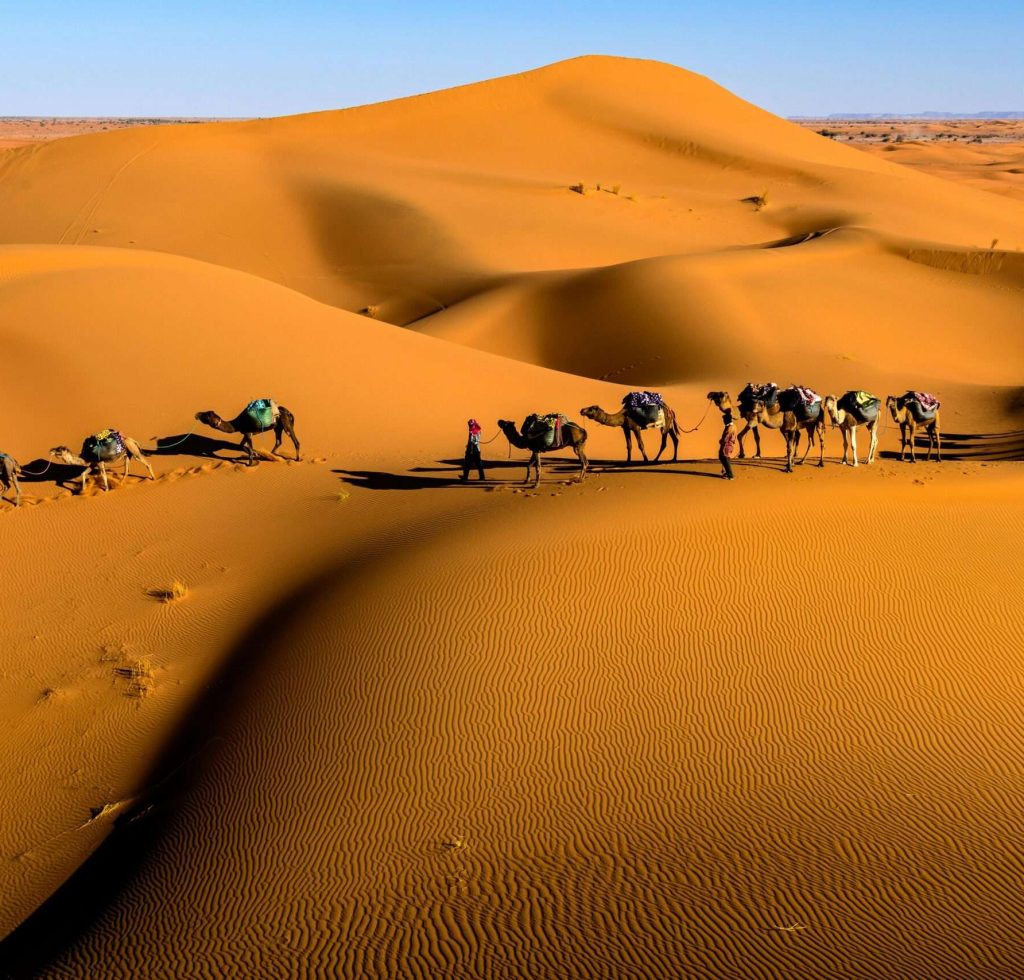 Excursiones por Casablanca